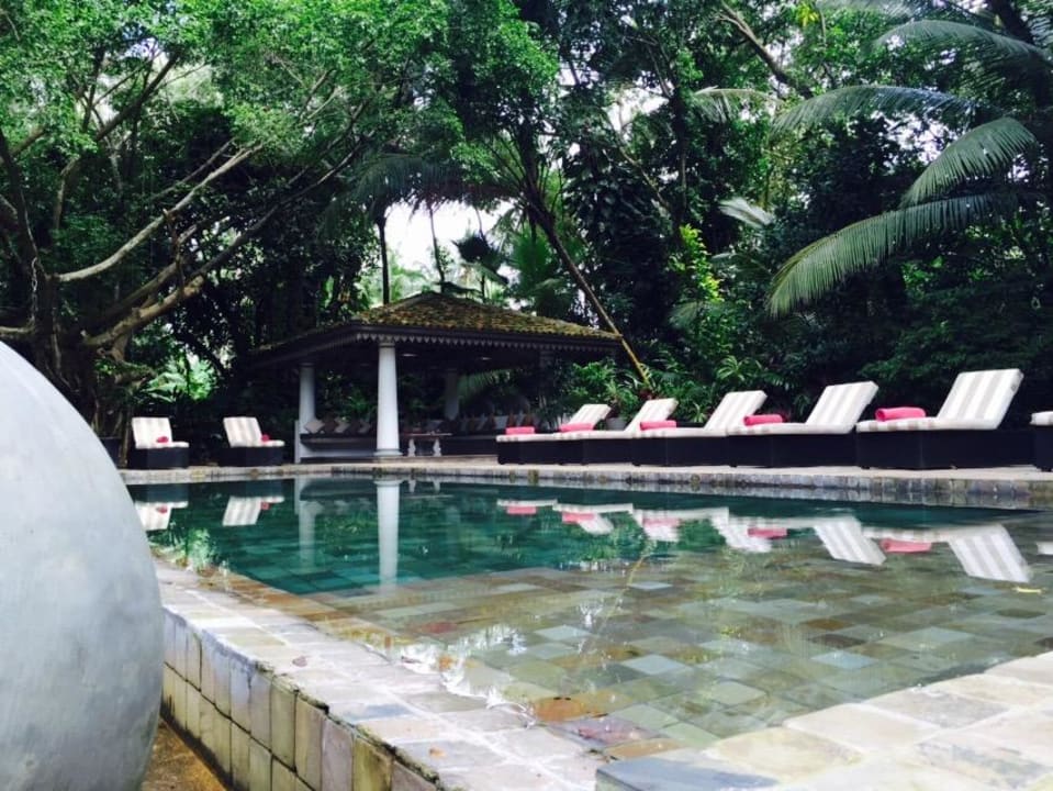 Pool Guesthouse The Wallawwa