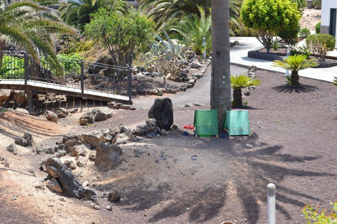 Catcafe Hotel Las Marismas de Corralejo