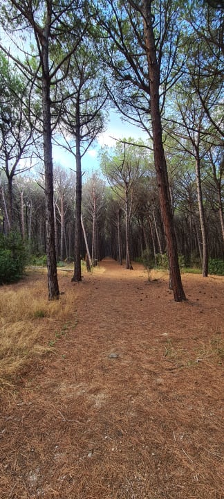 Außenansicht Falkensteiner Club Funimation Garden Calabria
