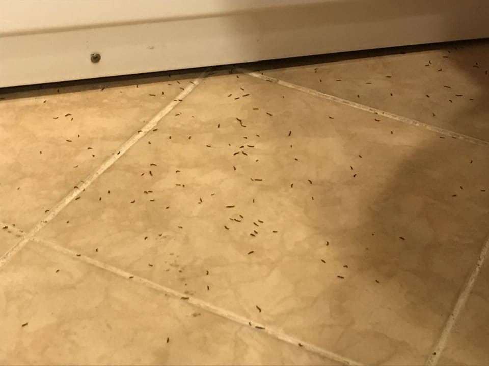 Zimmer VONRESORT Golden Beach