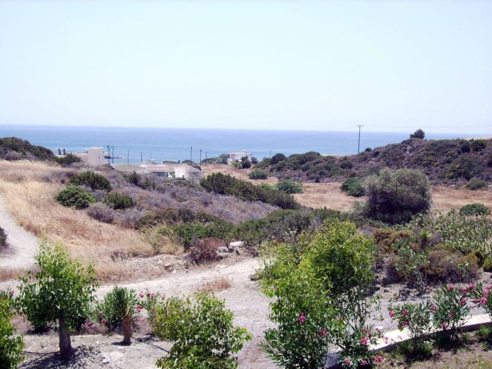 Meerblick Ekaterini Hotel