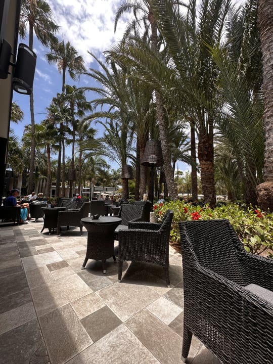 Gastro Hotel Riu Palace Oasis