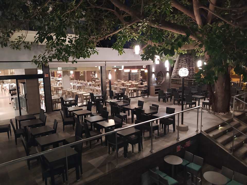 Gartenanlage Hotel Riu Festival