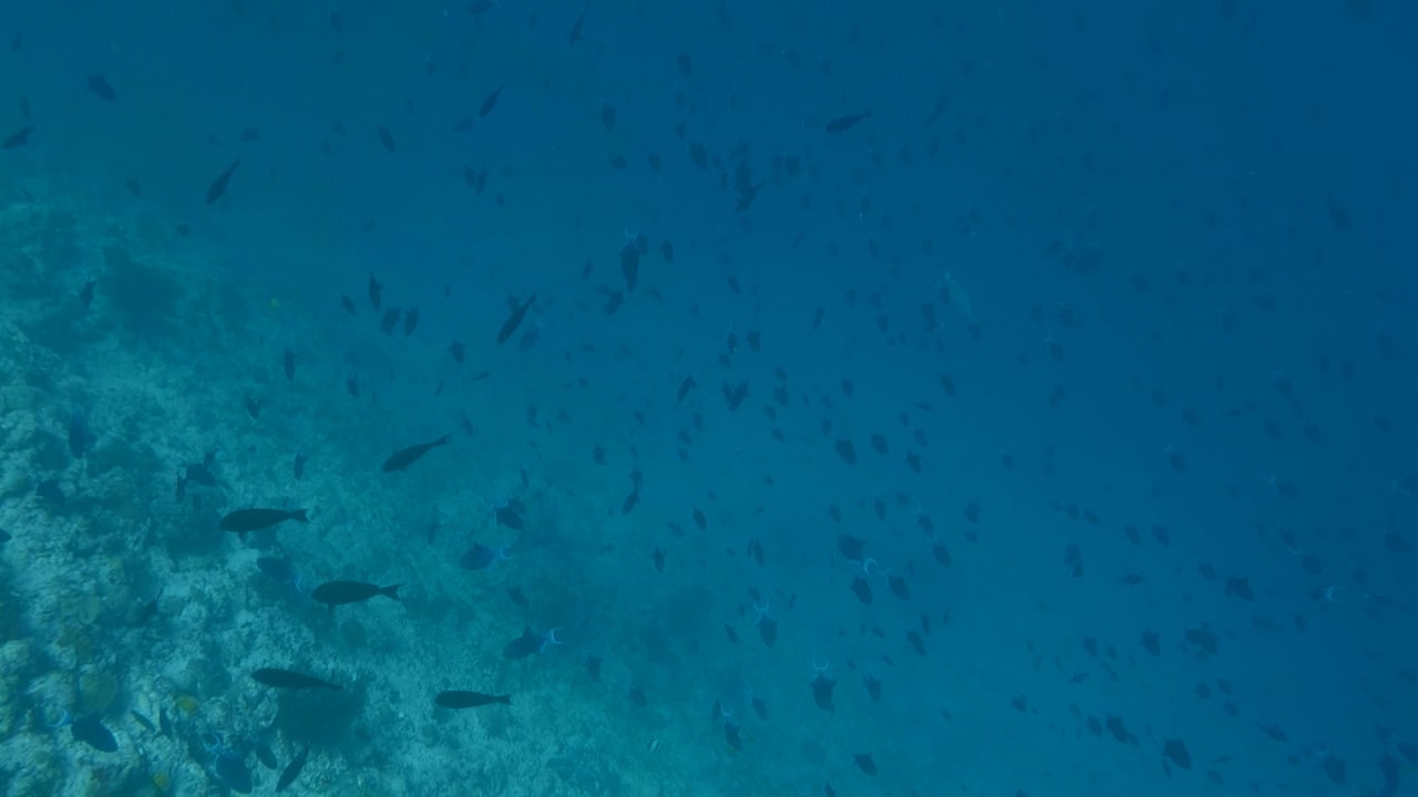 Sport & Freizeit Furaveri Maldives