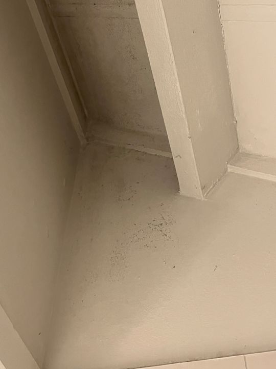 Zimmer Center Parcs Park De Haan