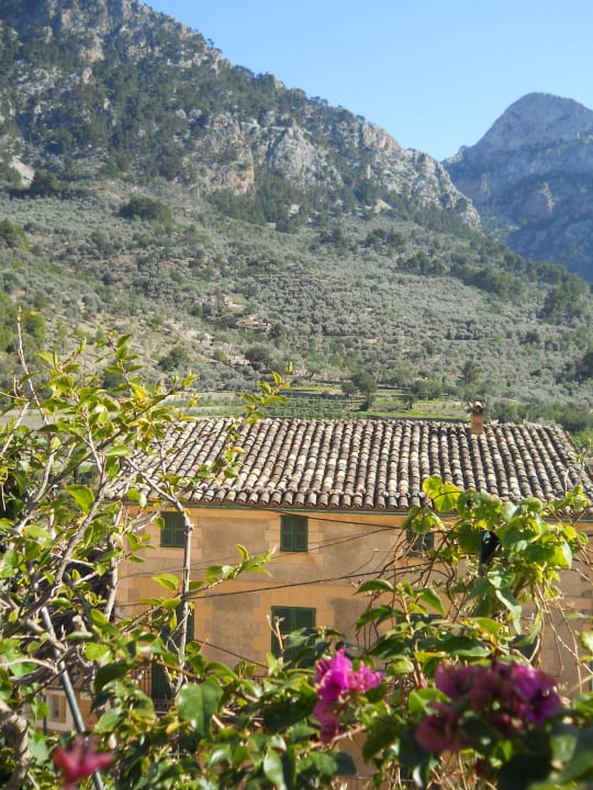 Blick aus unserem Zimmer Nr. 8 Landhotel Can Verdera