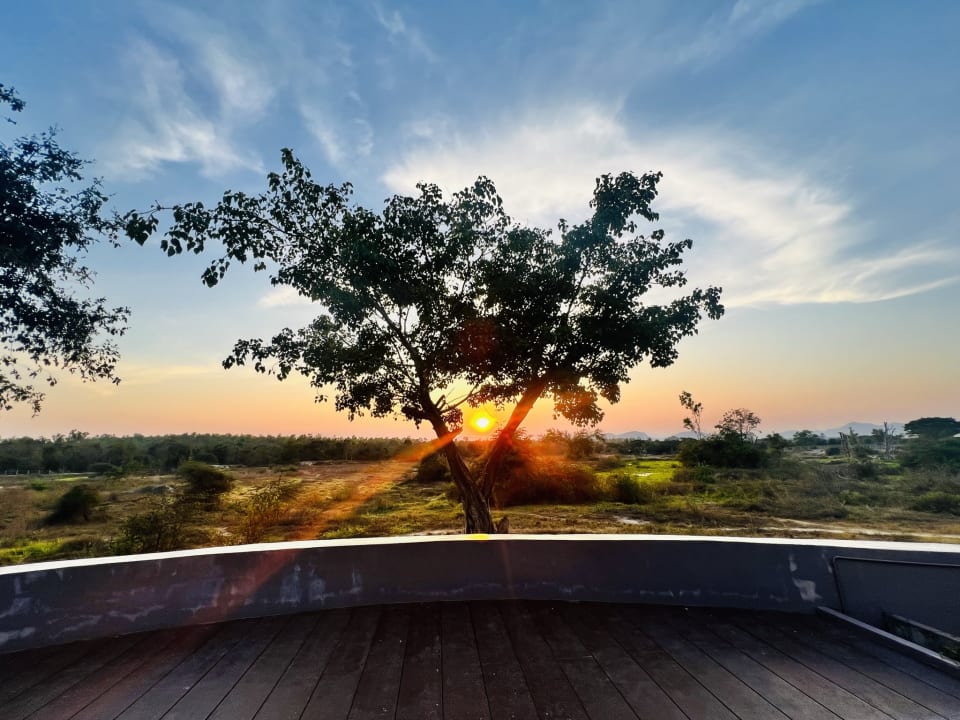 Ausblick I love phants Lodge