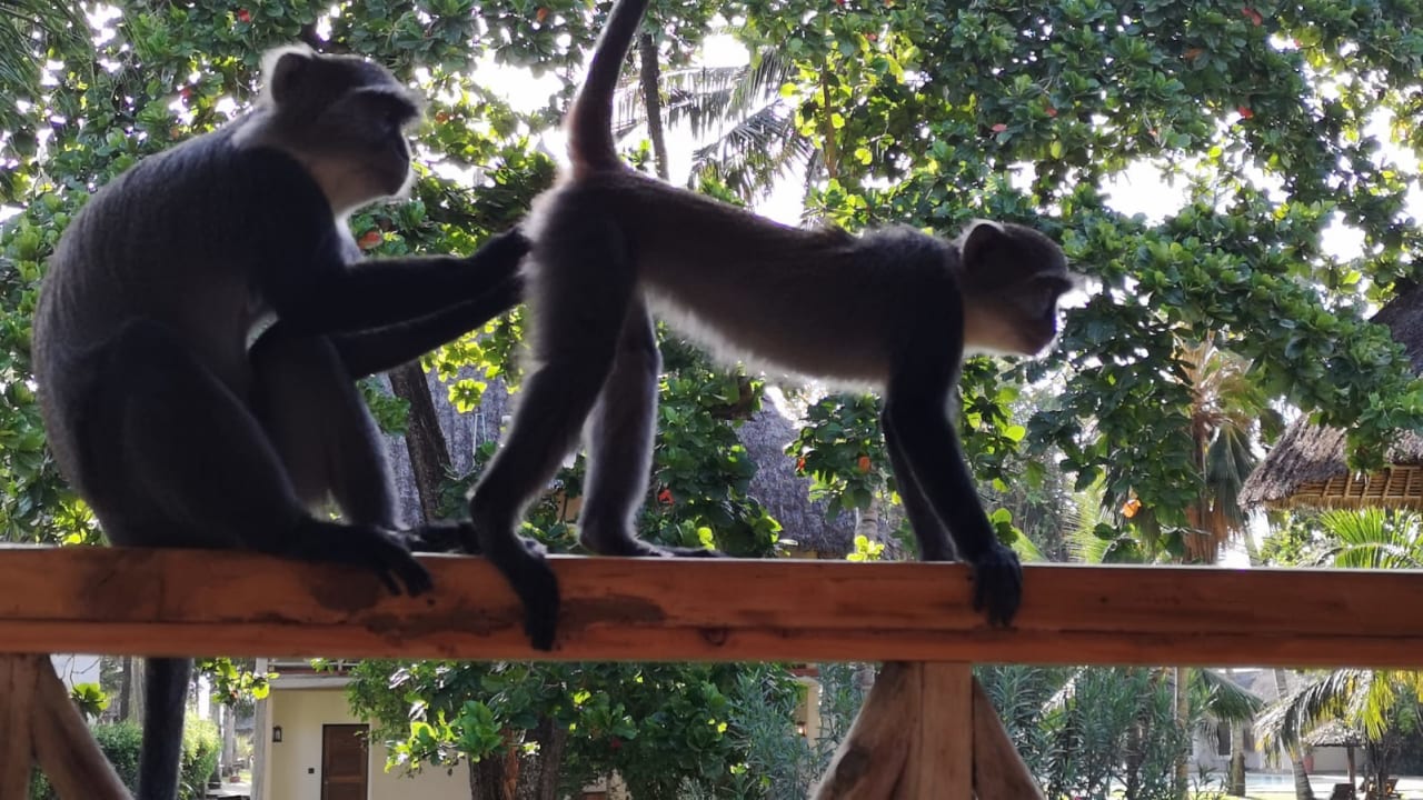 Gartenanlage Neptune Palm Beach Boutique Resort & Spa