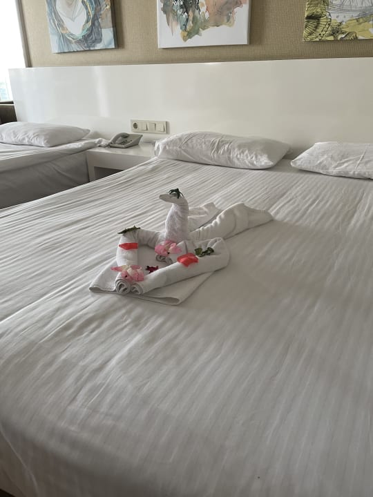 Zimmer Seaden Sea World Resort & Spa