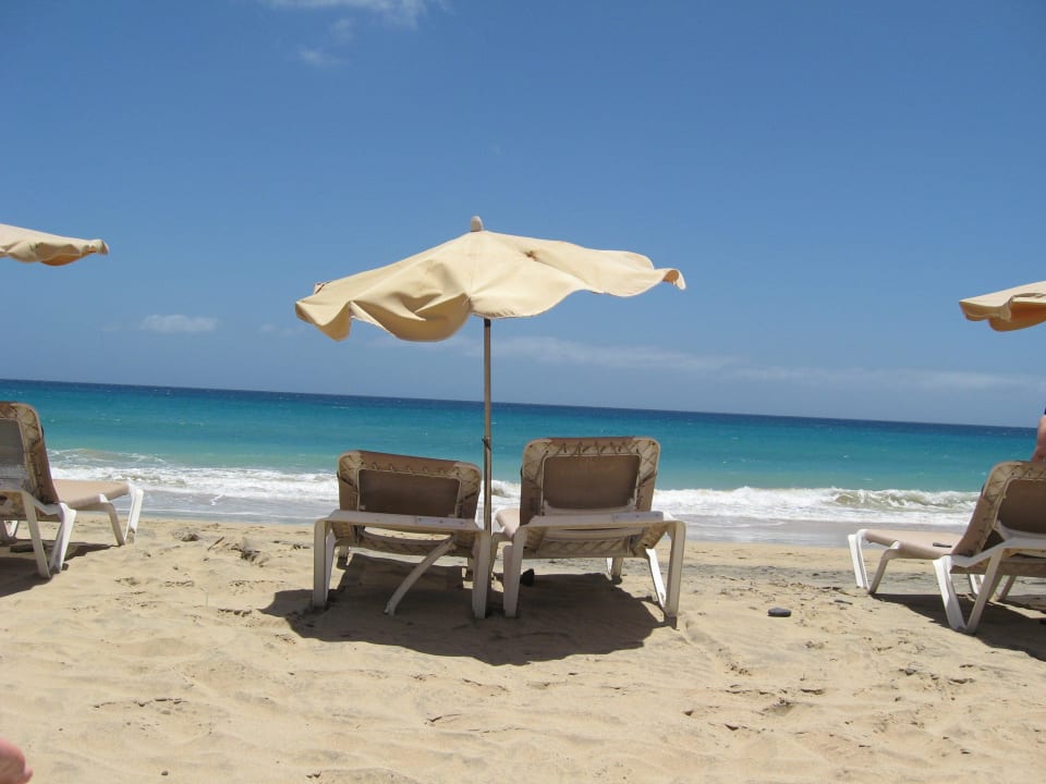 Liegestühle zum Mieten am Strand allsun App.-Hotel Esquinzo Beach