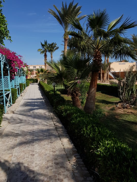 Blick in den Garten  Giftun Azur Resort