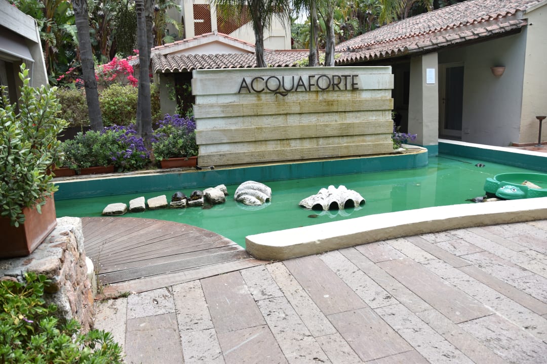 Gartenanlage Forte Village  - Bouganville