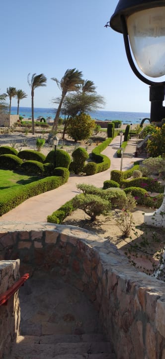 Ausblick Hotel Gorgonia Beach Resort