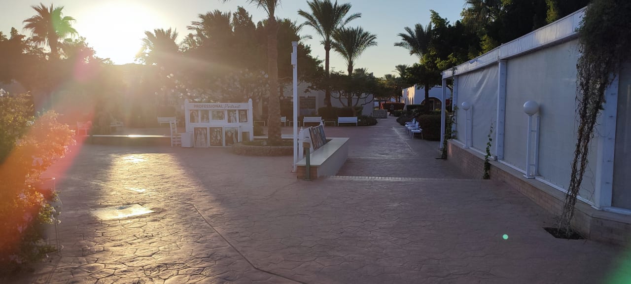 Gartenanlage Desert Rose