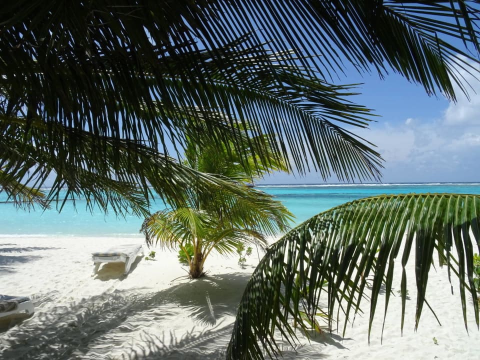 Strand Summer Island Maldives
