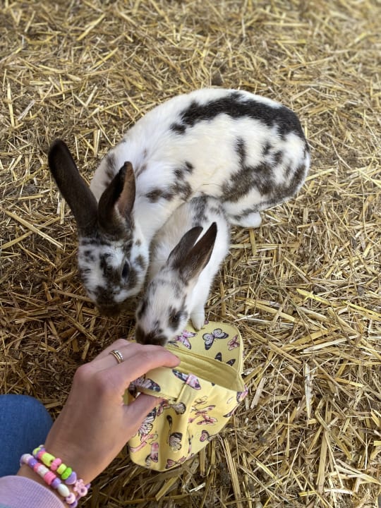 Gartenanlage Ferienhof Feinen