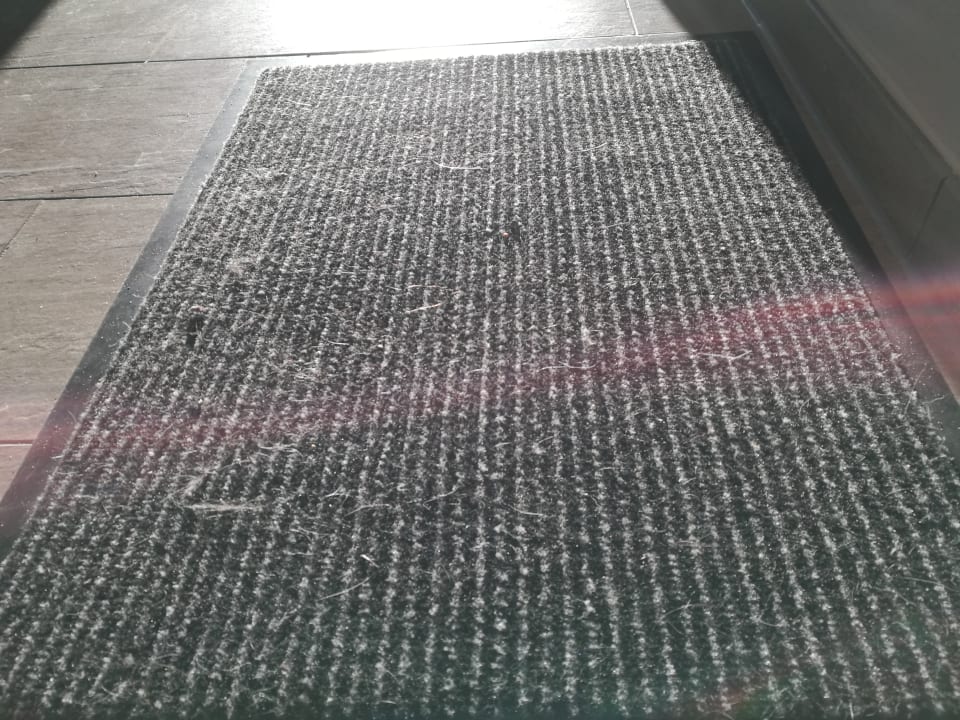 Außenansicht Elbstrand Resort