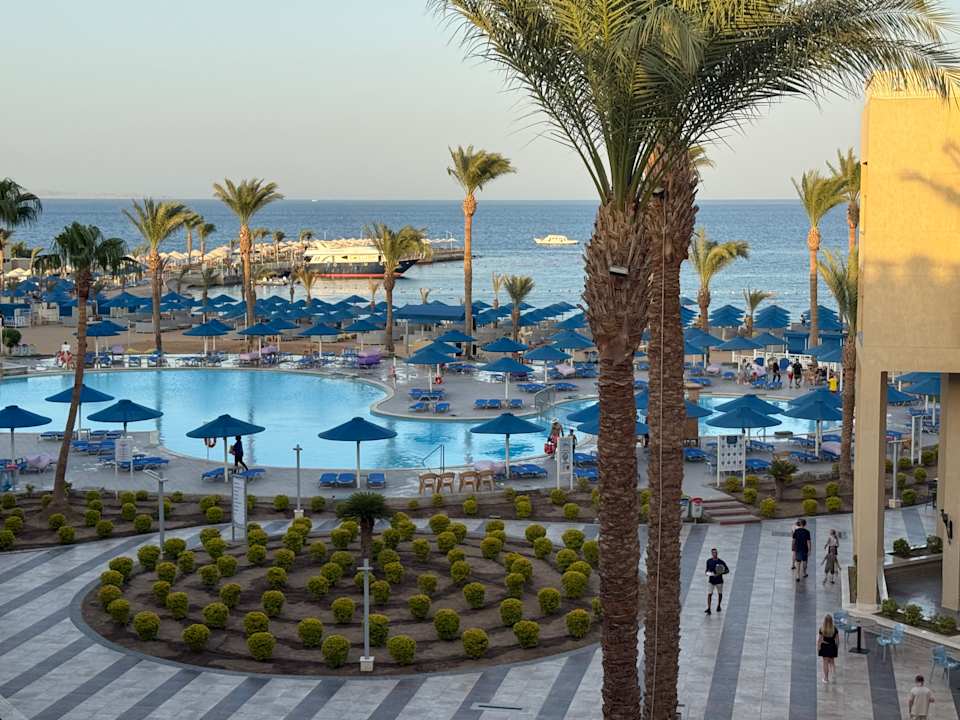 Pool Beach Albatros Resort