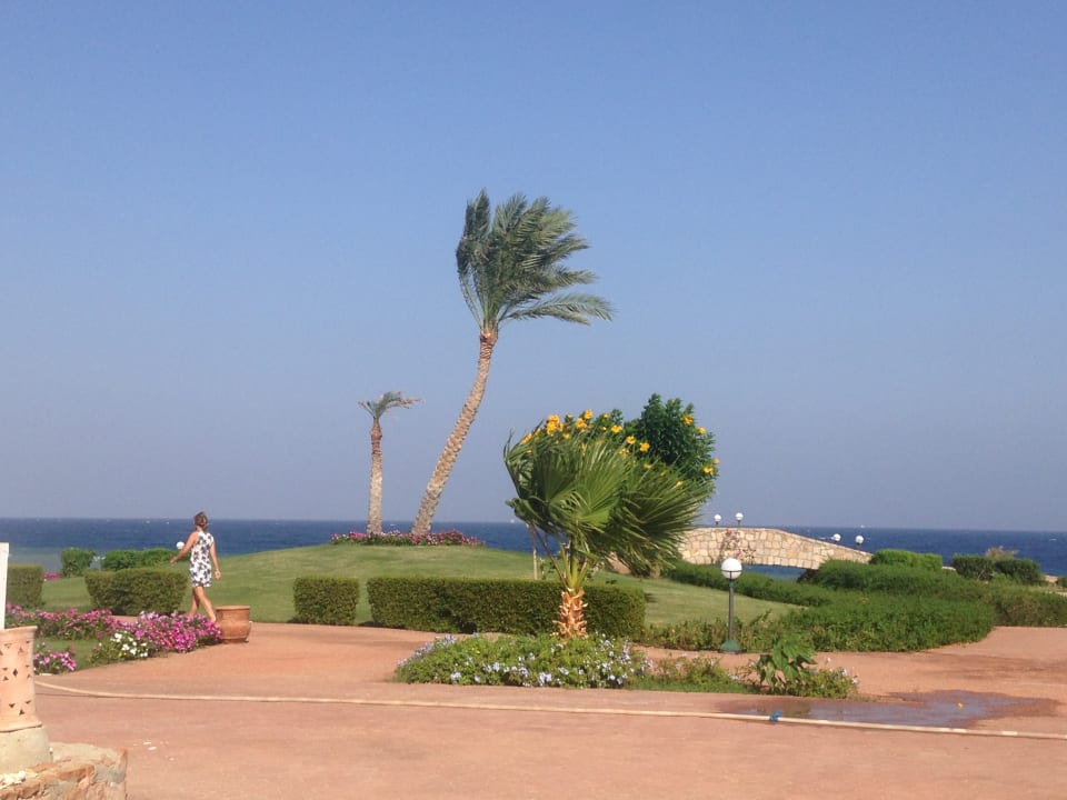 Gartenanlage Three Corners Equinox Beach Resort