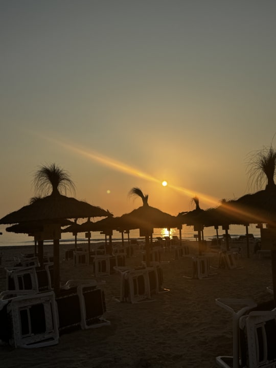 Strand CM Playa del Moro