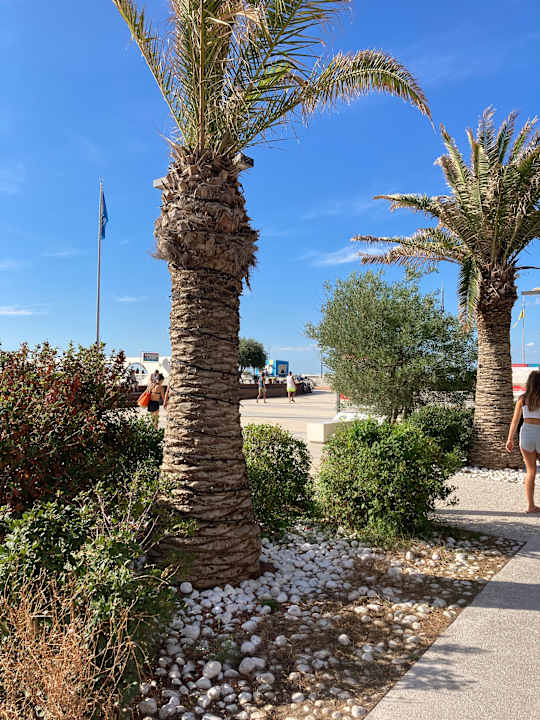 Sonstiges Columbus Sea Hotel