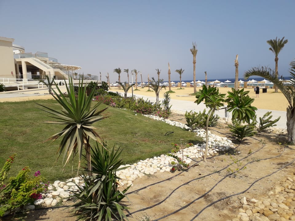 Strand Pickalbatros Sea World Resort - Marsa Alam