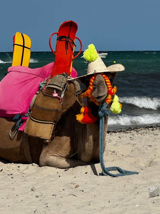 Strand TUI MAGIC LIFE Penelope Beach