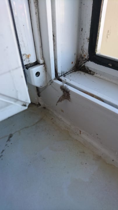 Zimmer Ferienwohnungen Ferienpark Weissenhäuser Strand