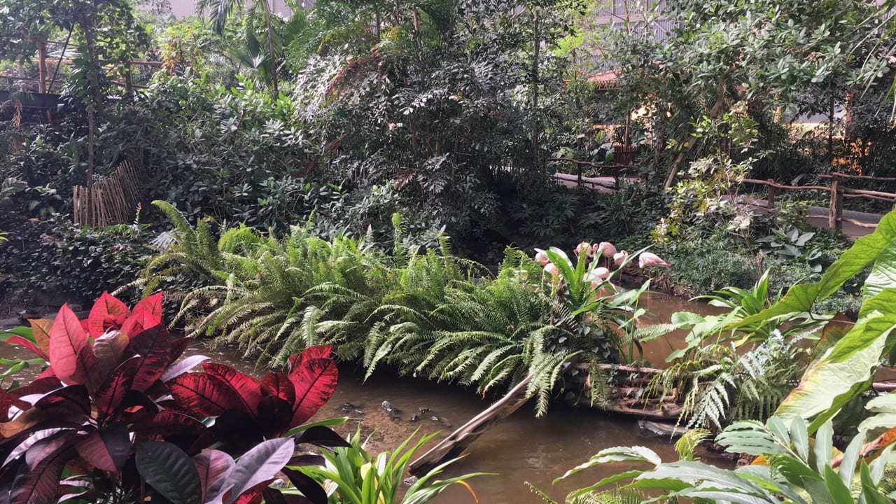 Sonstiges Tropical Islands Resort