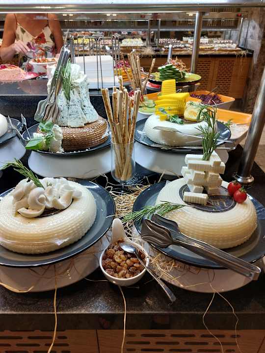 Gastro Seashell Vega