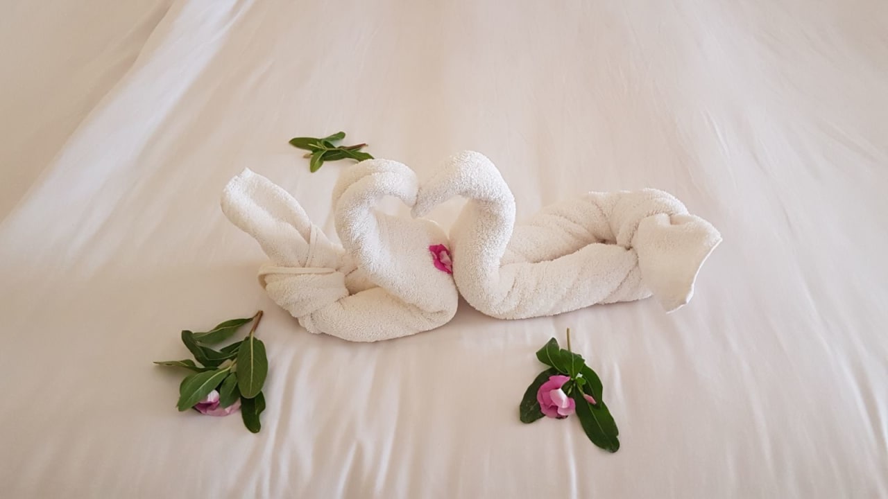 Danke an Mahmoud Casa Mare Resort