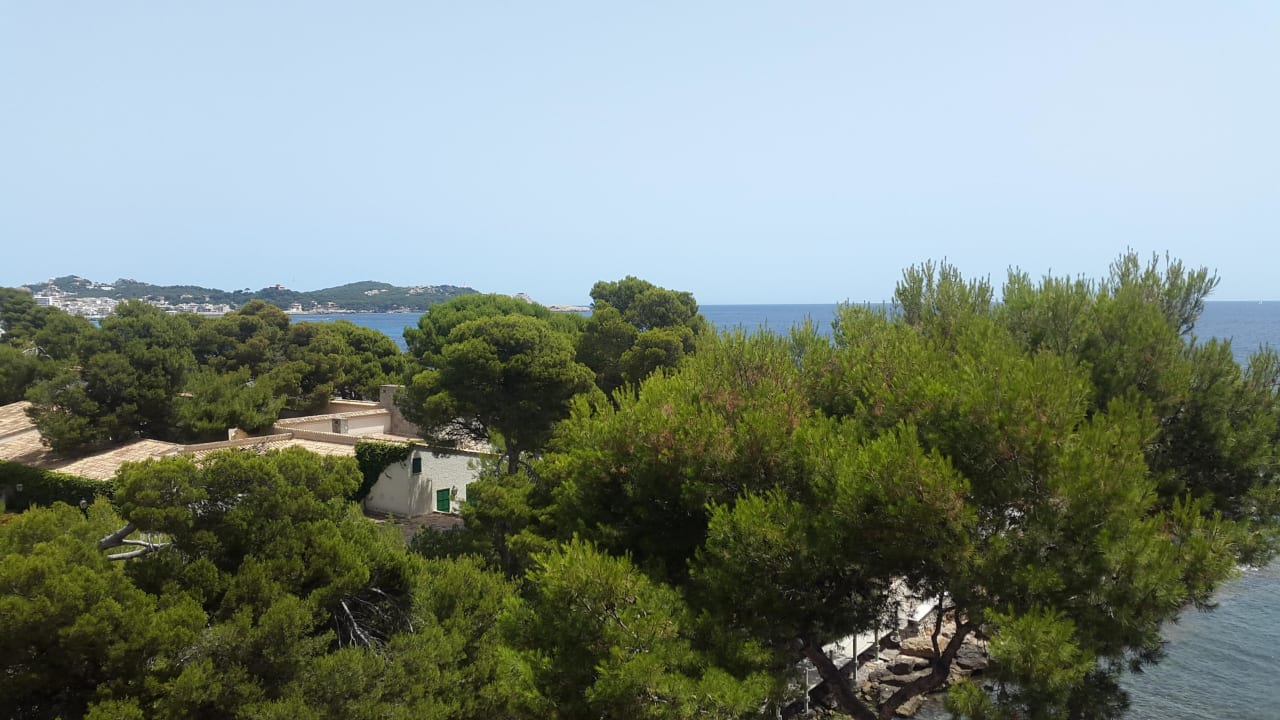 Ausblick vom Balkon Grupotel Aguait Resort & Spa - Adults only