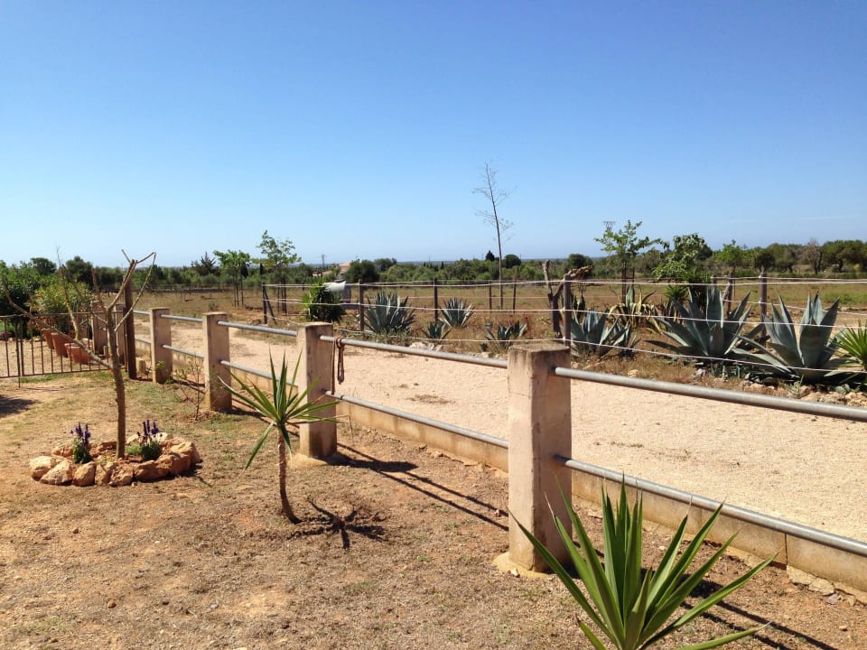 Blick auf die Koppeln Hotel Finca Can Paulino