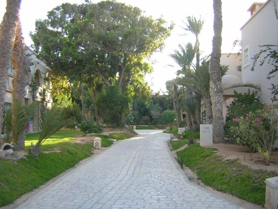 Gartenanlage mit Zimmern Zita Beach Resort