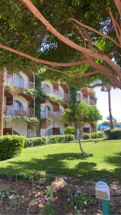 Gartenanlage Desert Rose