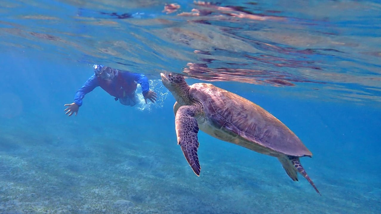 Strand Shams Alam Beach Resort