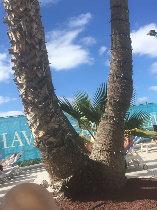 Pool Sentido Aequora Lanzarote Suite