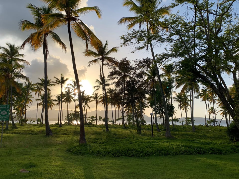 Gartenanlage Wyndham Alltra Samana