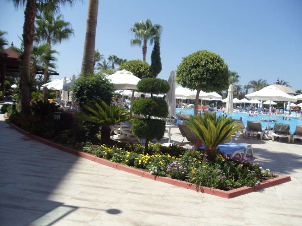 Weg zum Pool Saphir Resort & Spa