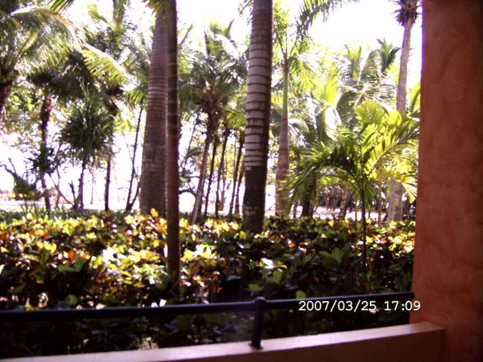 Aussicht aus unserem Zimmer auf den Strand Iberostar Waves Costa Dorada