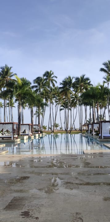 Pool Viva Wyndham Samaná