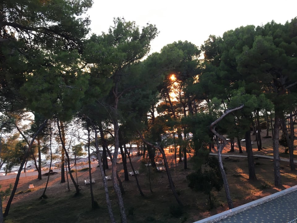 Ausblick Family Hotel Vespera