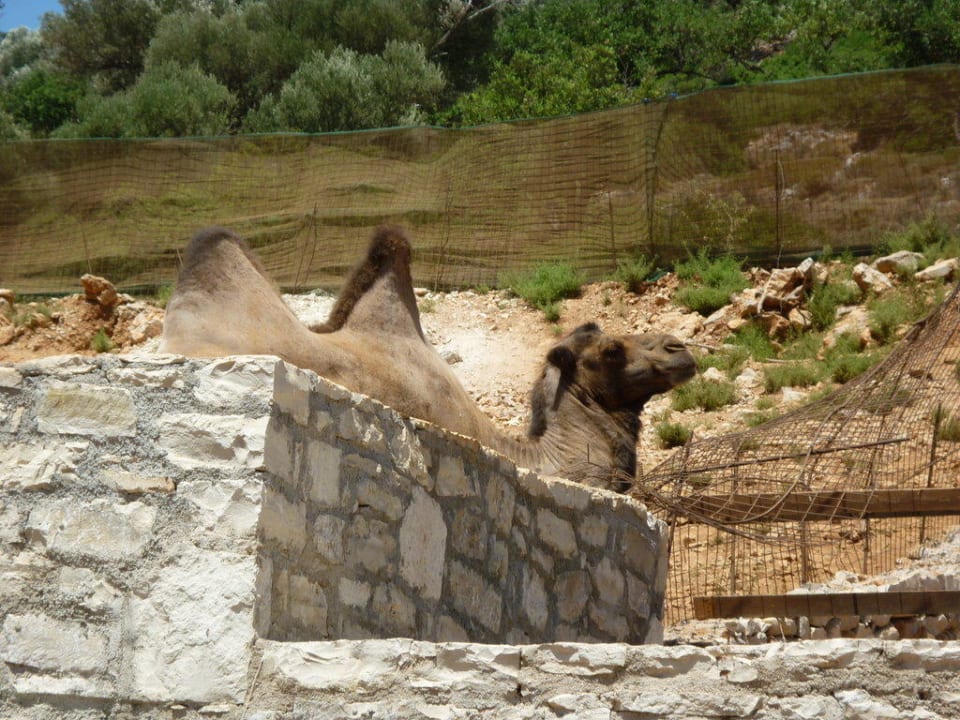 Zoo Stone Village Petrino Horio