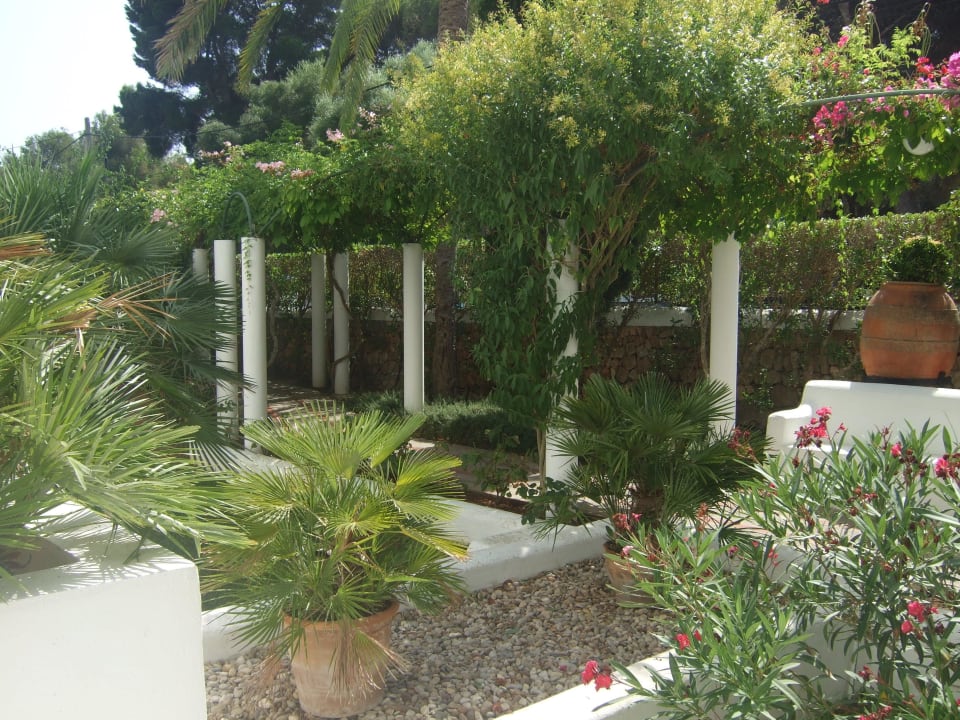 Ausblick Zimmer Nr.25 (Familienzimmer Gartenseite) Hotel Cala D'Or