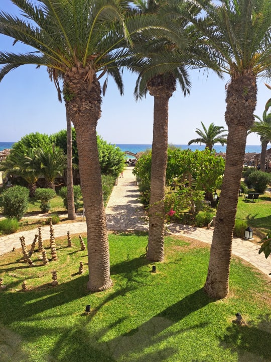 Gartenanlage The Orangers Beach Resort and Bungalows