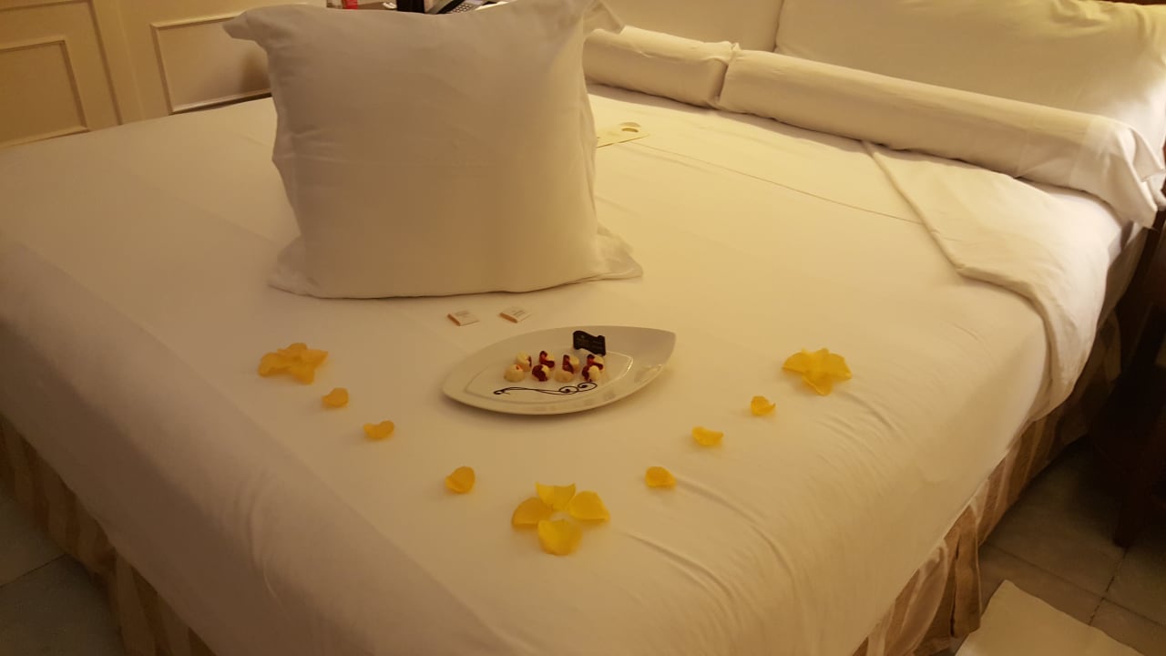 Zimmer JOIA Paraiso by Iberostar