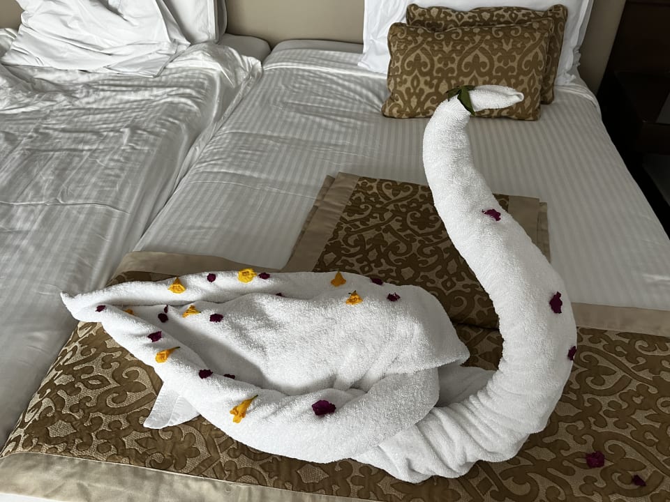 Zimmer Steigenberger Makadi Hotel - Adults only