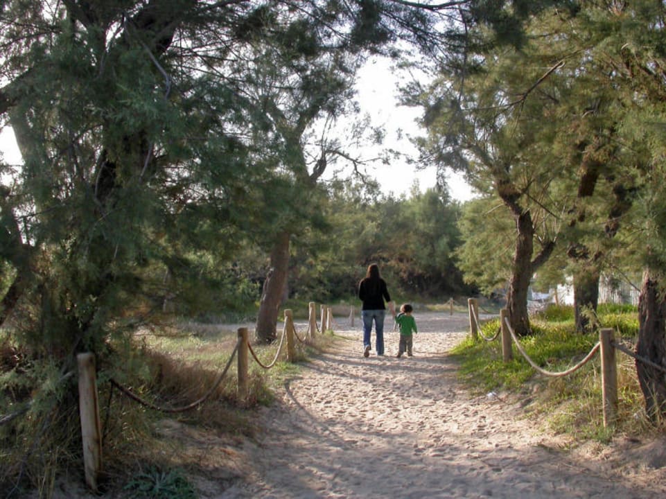 Zugang zum Strand Iberostar Selection Albufera Park
