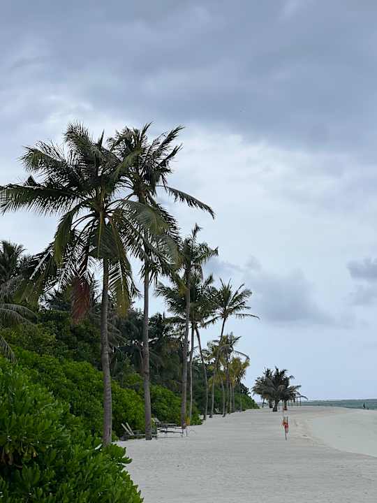 Zimmer Cocoon Maldives