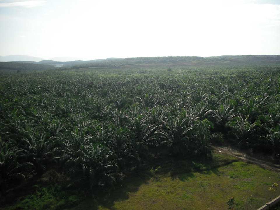Blick vom Hotel Tune Hotel KLIA Aeropolis